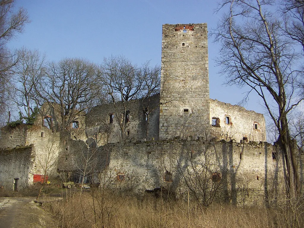 Ruins of former Spielberg Castle at Langenstein, Upper-Austria from the West This media shows the protected monument with ObjektID 21486 in Austria. (Commons, de, Wikidata)