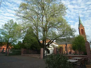 Sommerlinde evangelische Kirche