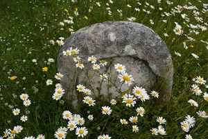 Stracheye Headstone Approximately 15 Metres West Of South Aisle Of Church Of St Andrew