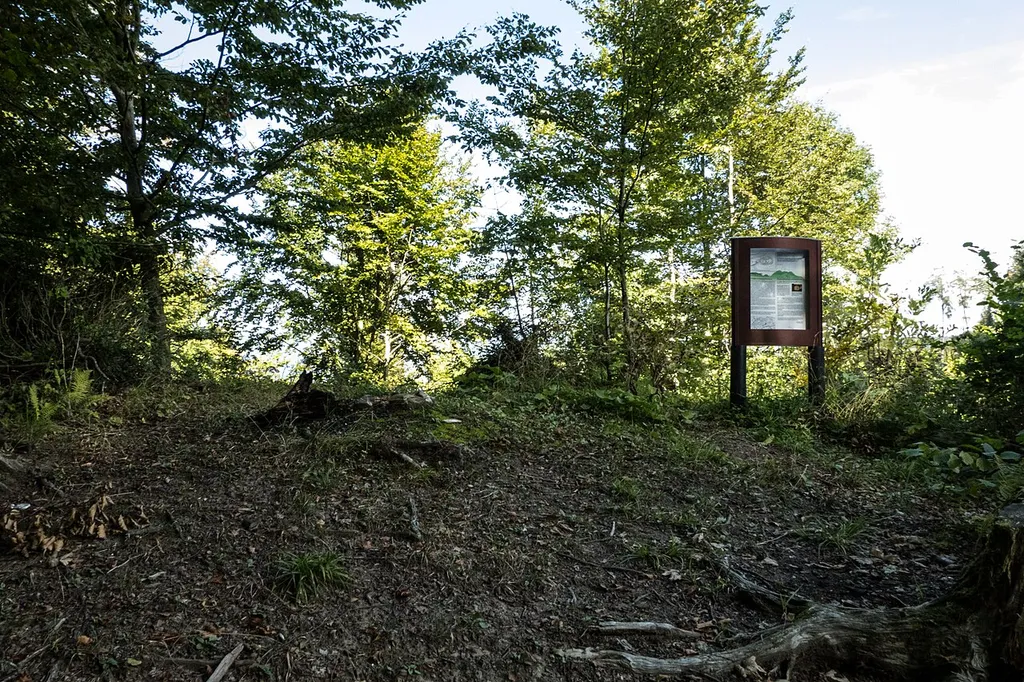 Fenis / Hasenburg, early medieval-medieval castle ruin