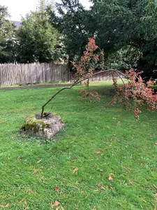 churchyard cross
