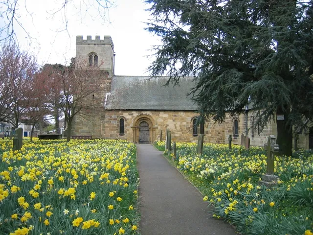 St Oswalds Sowerby A beautiful display of daffodils in the graveyard at St Oswalds.