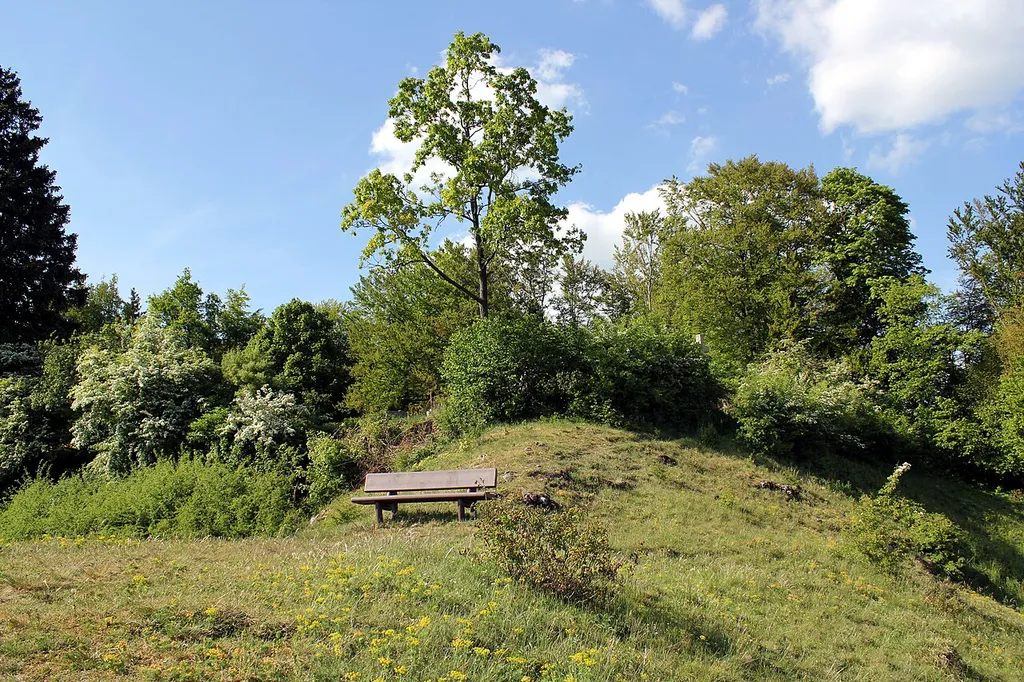 Burghügel des ehemaligen Burgstalls Rauschenstein; hinter den Sträuchern befindet sich der heutige Friedhof. Ansicht aus südlicher Richtung vom Sporn des Viktoriafelsens aus.