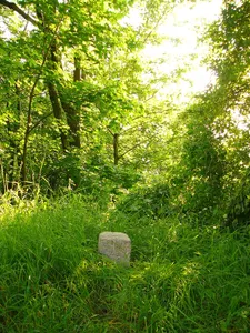 VIII. Burgfriedensstein