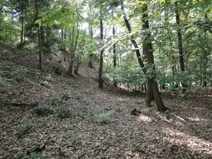 Burg Johannisberg