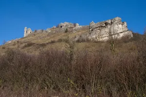 Ehrenbürg und Katzenköpfe