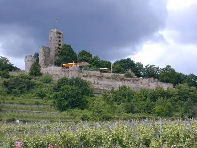 Wachtenburg bei Wachenheim an der Weinstrasse.