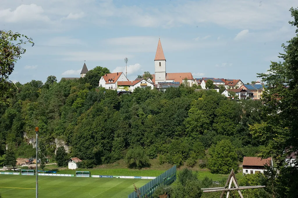 Ammerthal_Alpaka_005