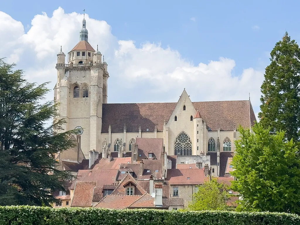 Remote views of Collégiale Notre-Dame de Dole