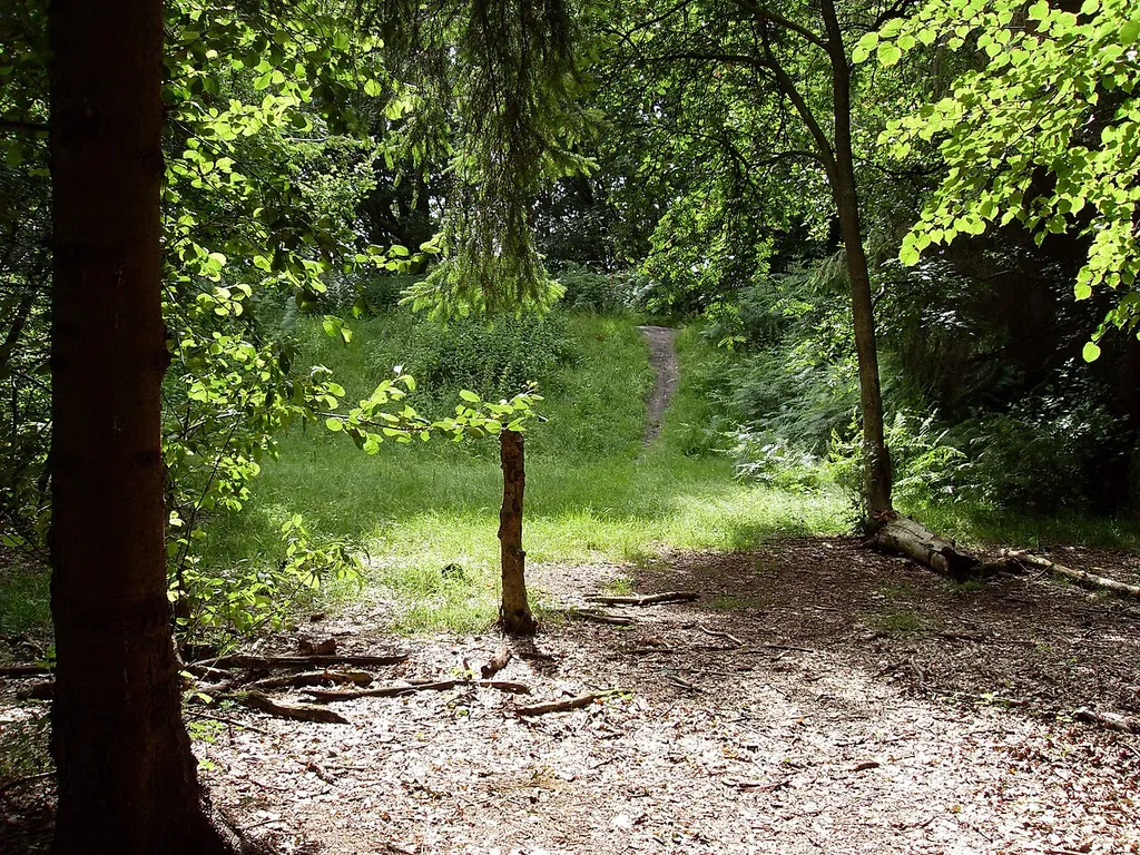 Hill fort of the Wittorfer Burg