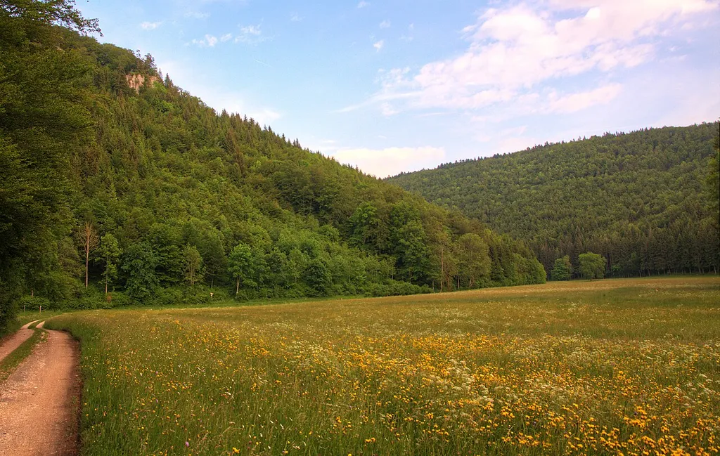 Das Ursental (Ta) bei Tuttlingen
