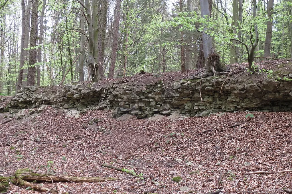 Grenzlerburg bei Liebenburg: Mauerung des Innenwalls
