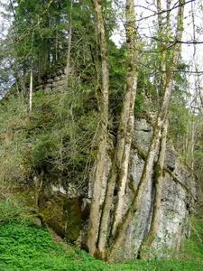 Burg Baltenstein