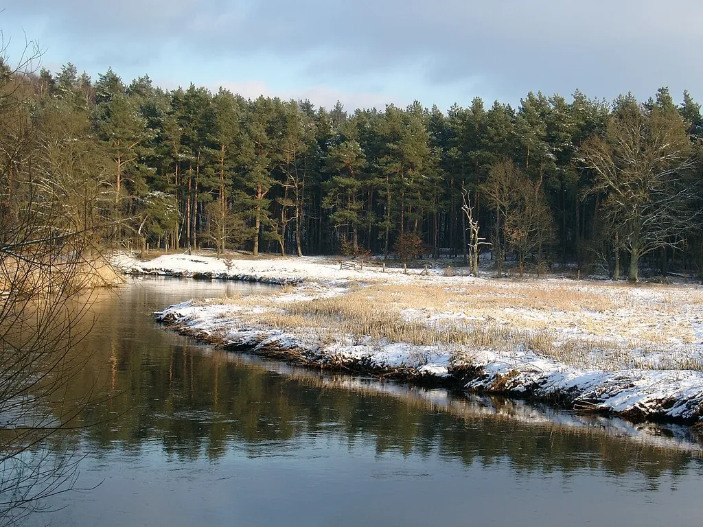 Ilmenautal südlich von Lüneburg (bei Melbeck), Naturschutzgebiet Lüneburger Ilmenauniederung mit Tiergarten
