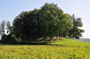 Rüti
