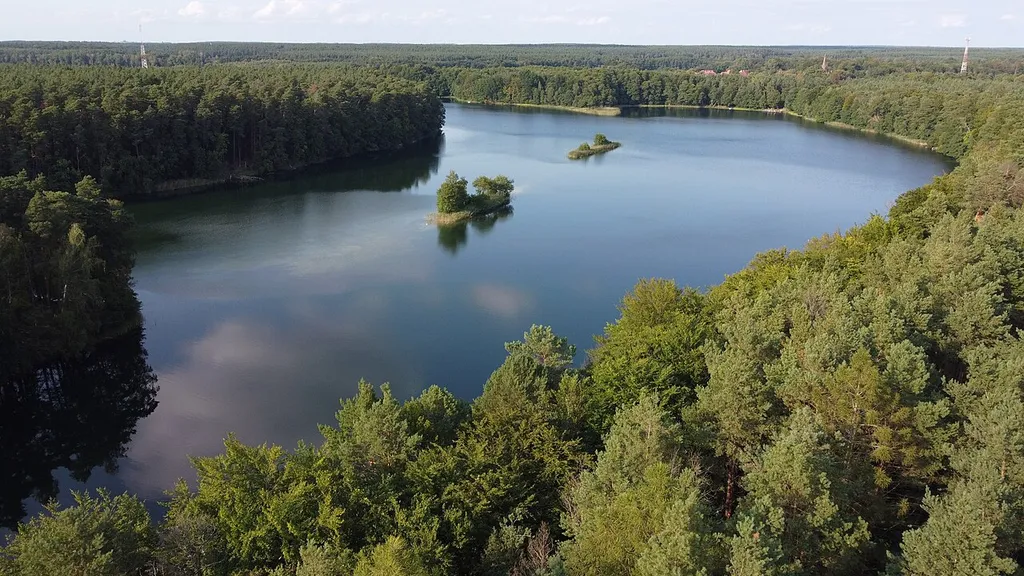 Kinołęka