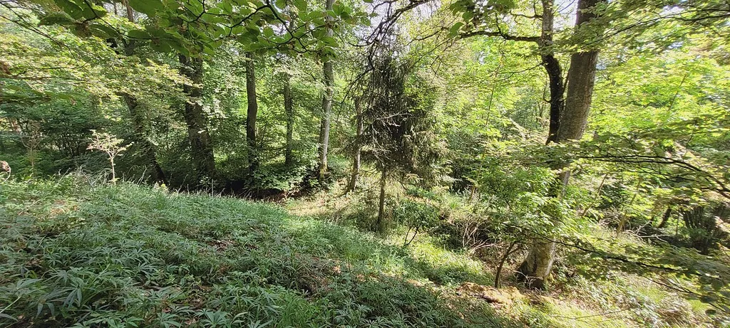 Castle Haideck