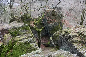 Froneck Castle