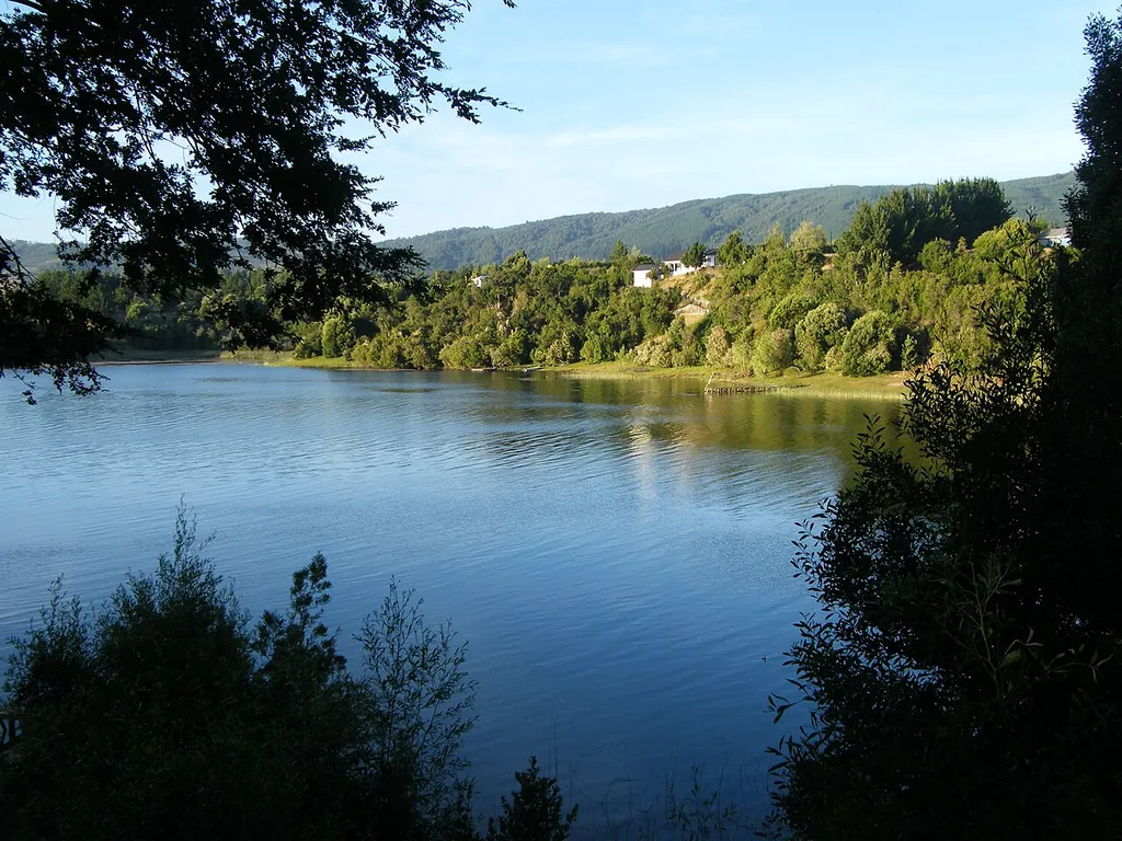 Lanalhue Lake