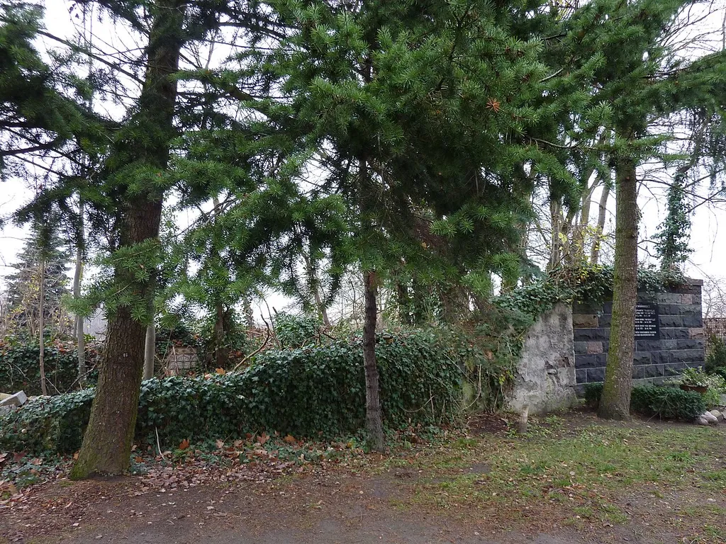 Ruine der Dorfkirche in Berlin-Falkenberg. Blickrichtung Norden.