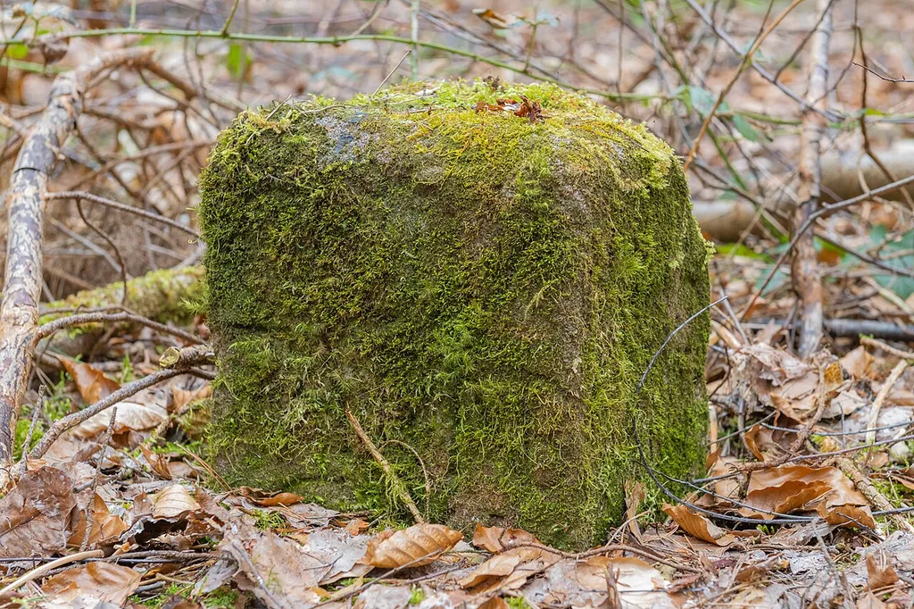 Grenzstein Fürther Stadtwald in Fürth