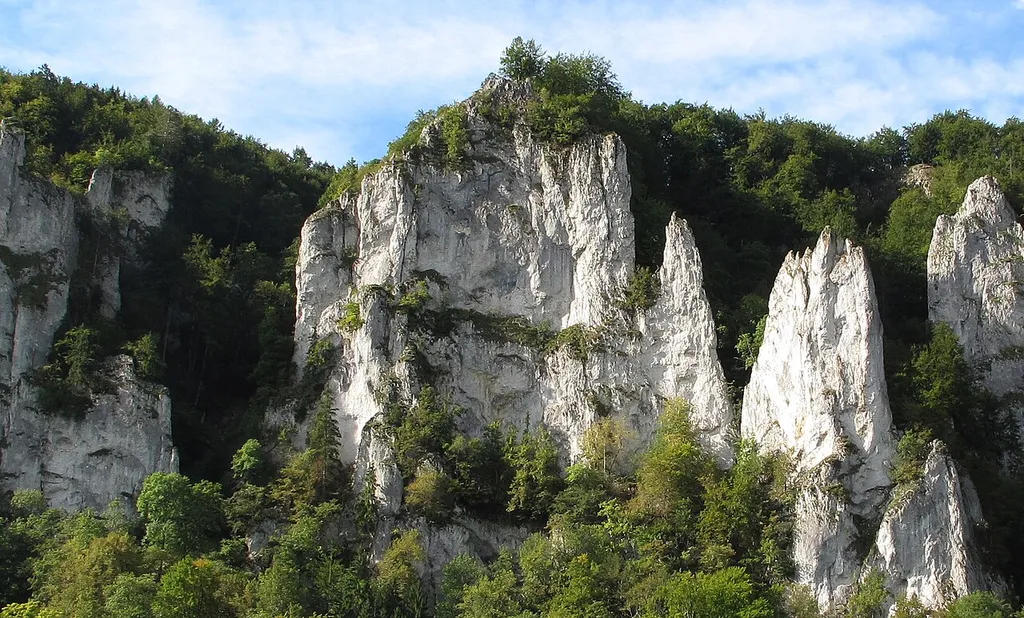 Burgfels von Nordosten.