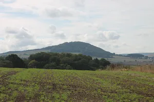 Heiligenburg Castle