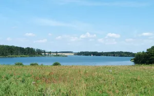 Dehtář