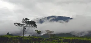 Mount Gede-Pangrango National Park