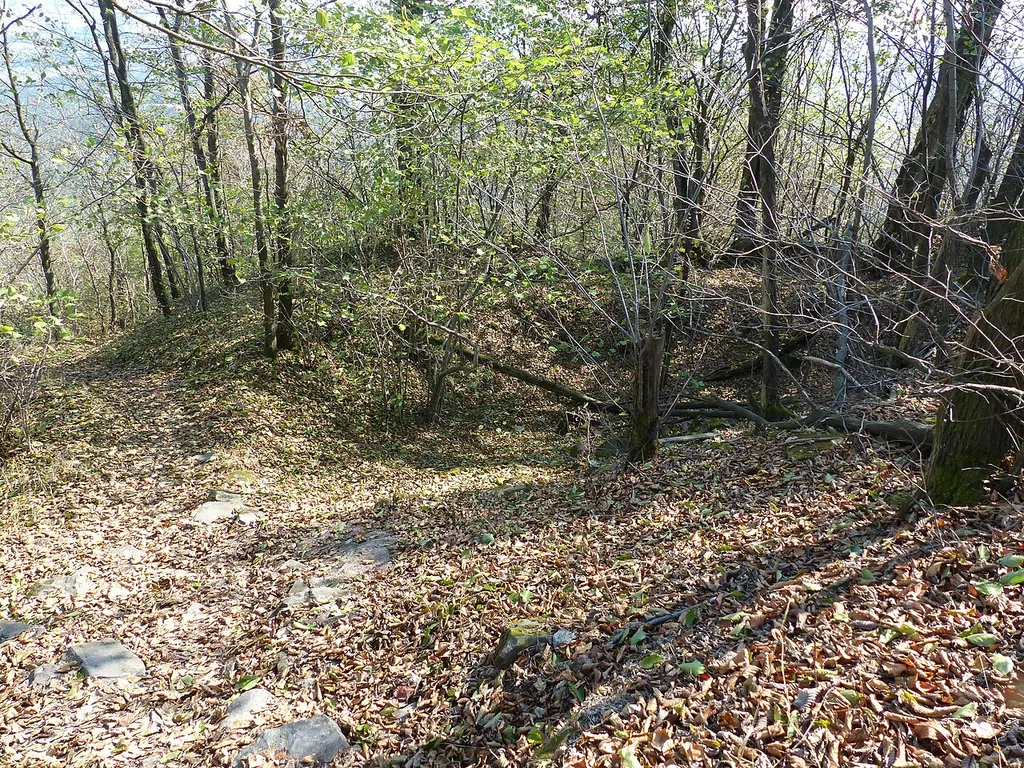 Reste des Turms der Höhenburg