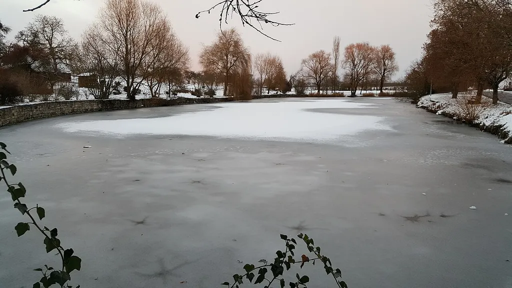Krensheimer See