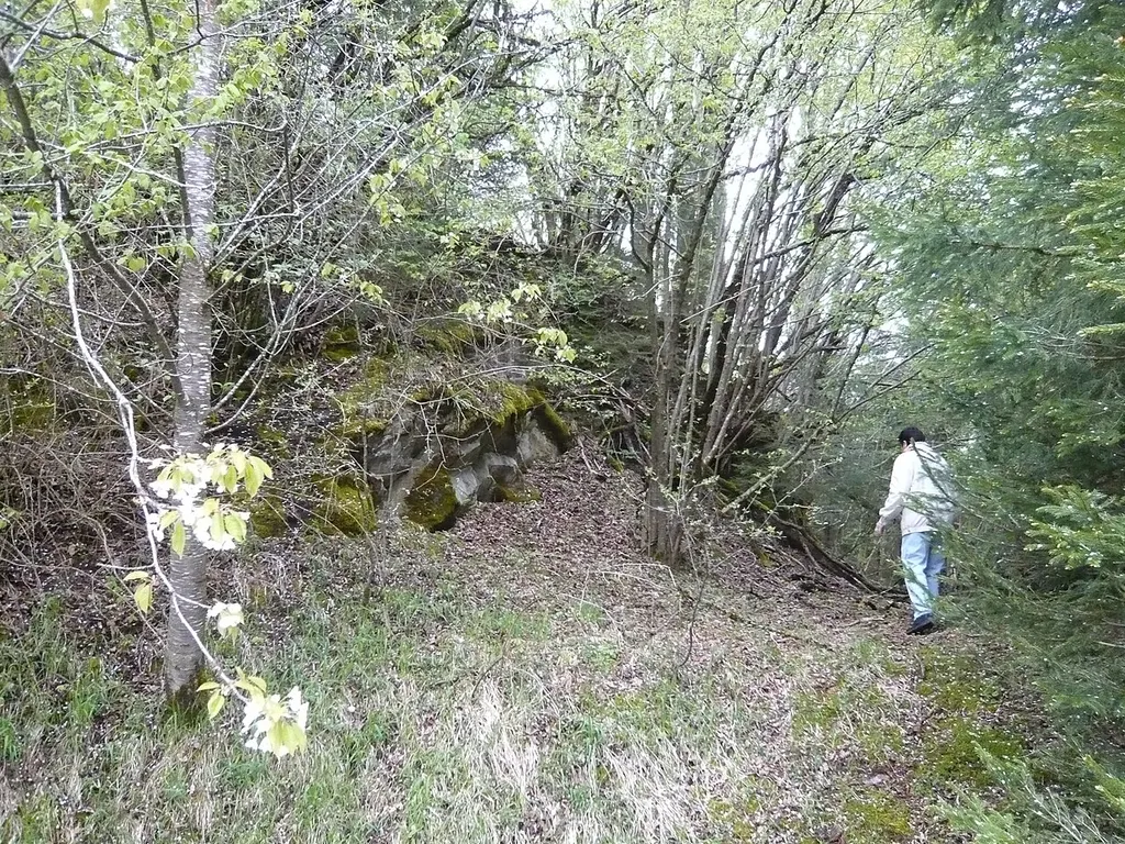 Burgstall Gschrift, Gemeinde Eisenberg, Landkreis Ostallgäu