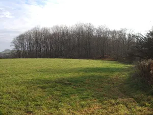 Burgwall Robisch