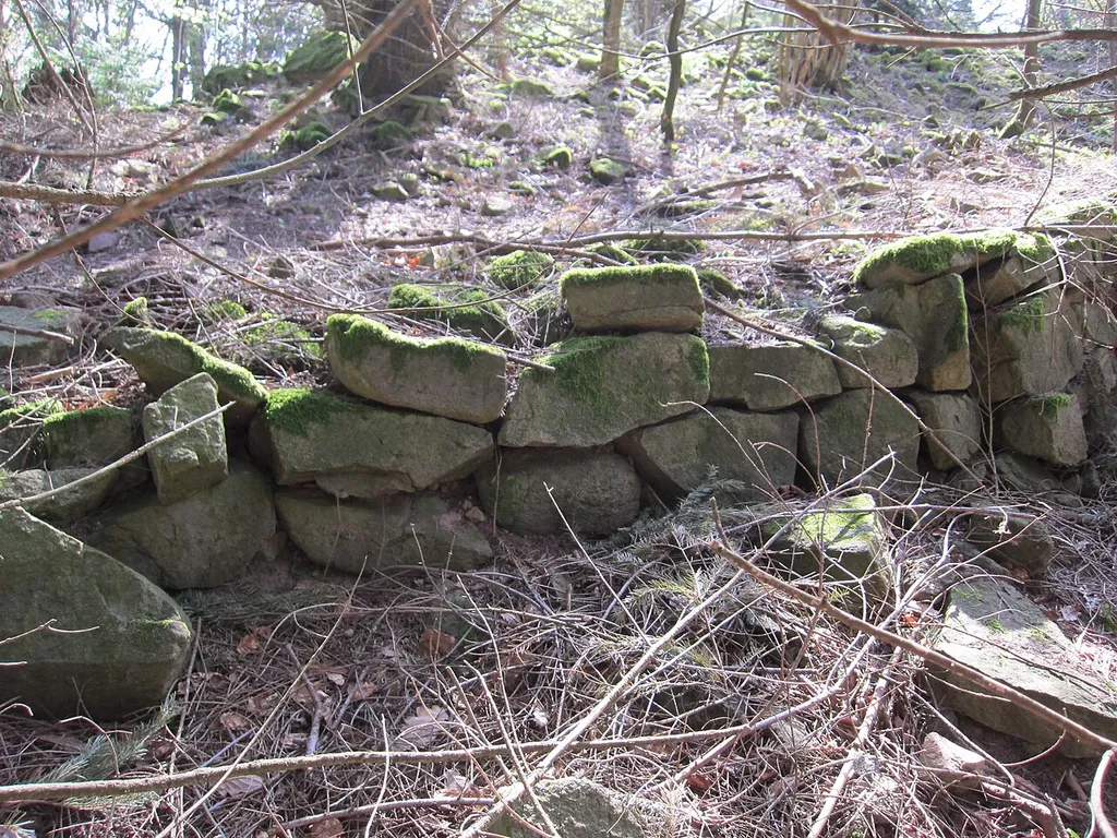 Rödelsburg, dry-stone wall remains in the centre of the castle area (looking southeastwards) – literary sources state that there are no walls
