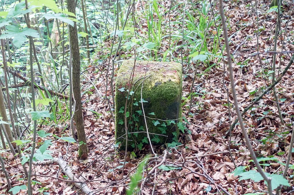 Grenzstein #2, Grünsberg, Altdorf bei Nürnberg