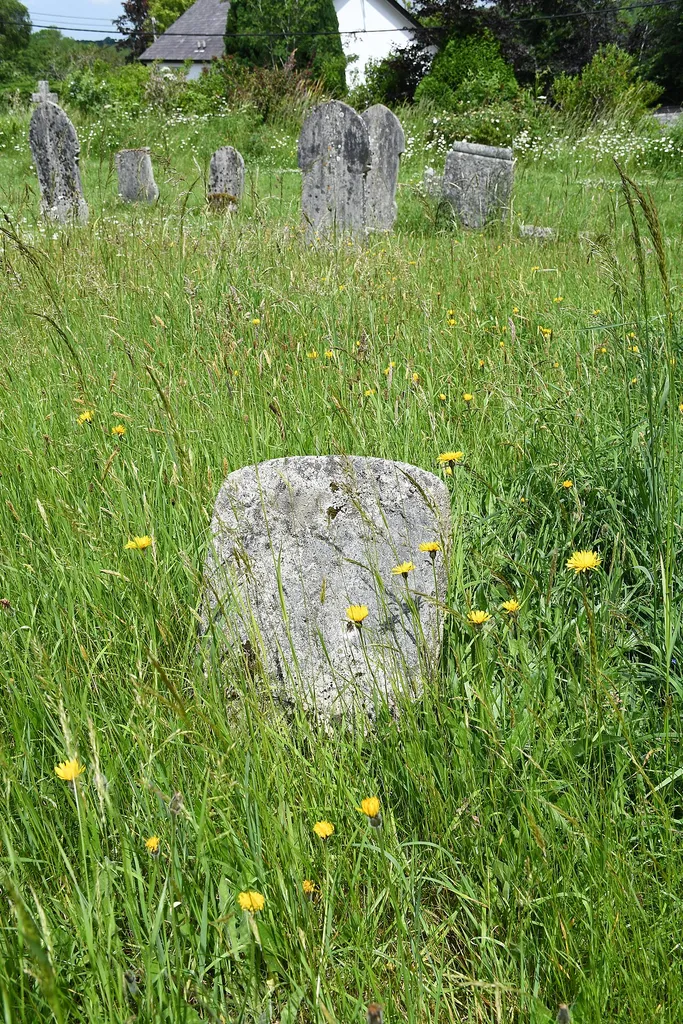 South Tawton in Dartmoor