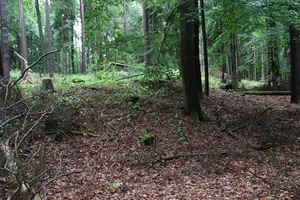 Burgstall Freudeneck