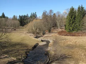 Bachtäler im Oberharz um Braunlage