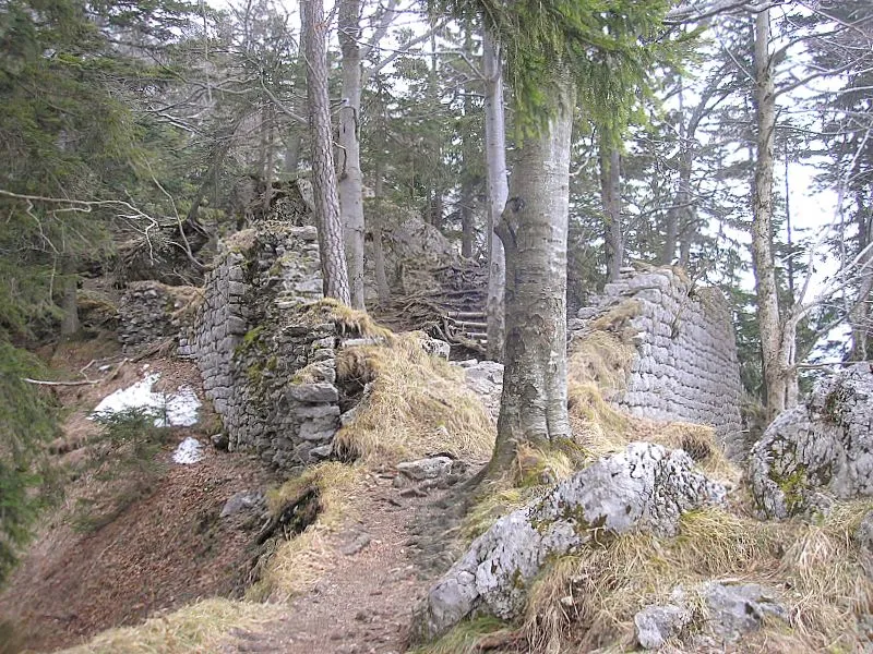 Hohenwaldeck castle (Schliersee-Fischhausen, Landkreis Miesbach, Upper Bavaria, Germany). The northern part of the castle ruin