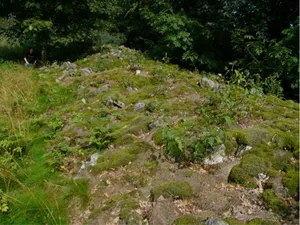 Oppidum Milseburg