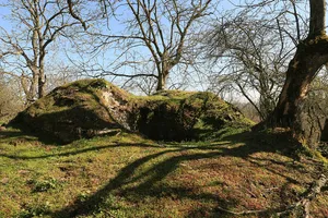 Schadewald castle