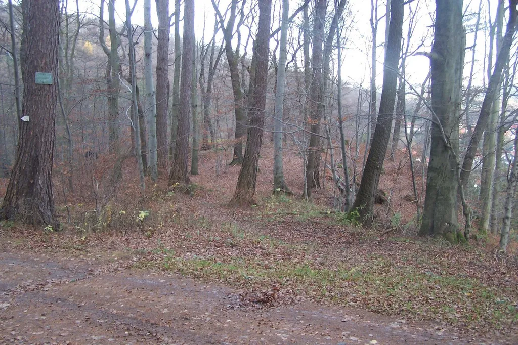 Burgstelle Sommerstein