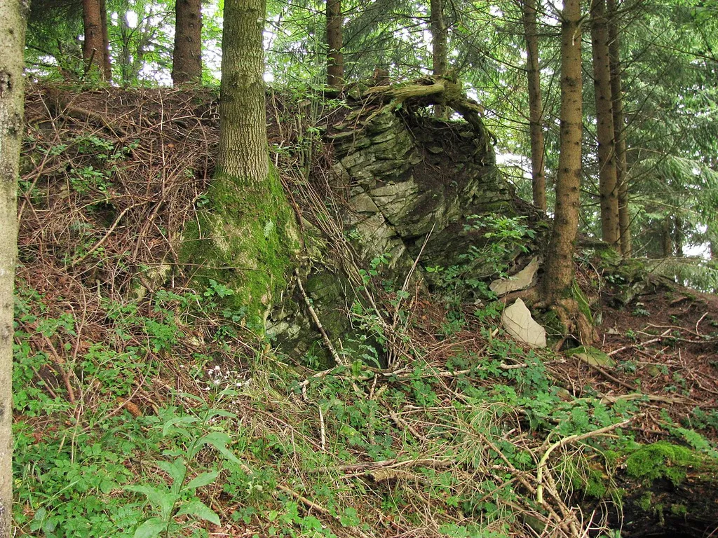 Burgstall Wachsenegg, Mauerreste.