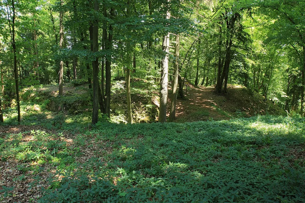 Burgstall Ödenburg - Ansicht des Burgstalls aus westlicher Richtung