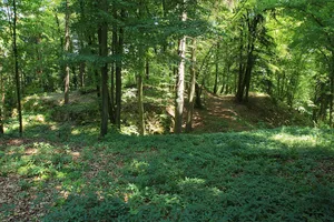 Burgruine Ödenburg (Hainsberg)