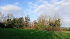 Rossaneny Graveyard and Church ruin