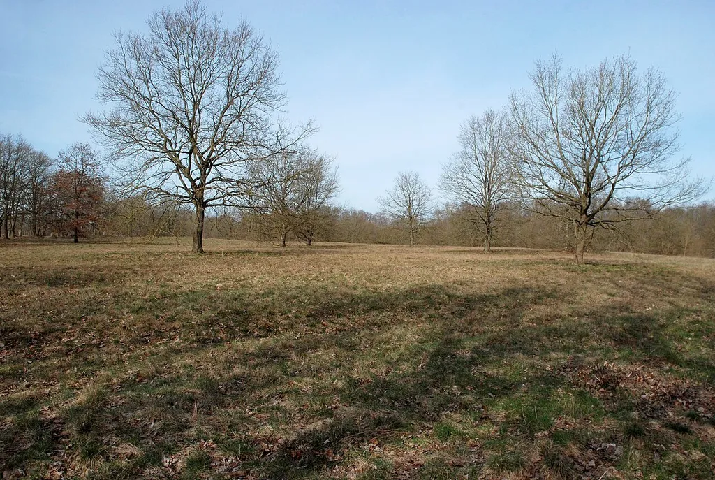 Herrnburger Dünen in Lübeck, Gleisweg