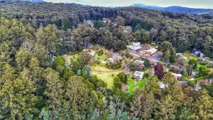 Toolangi