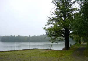 Doktorteich