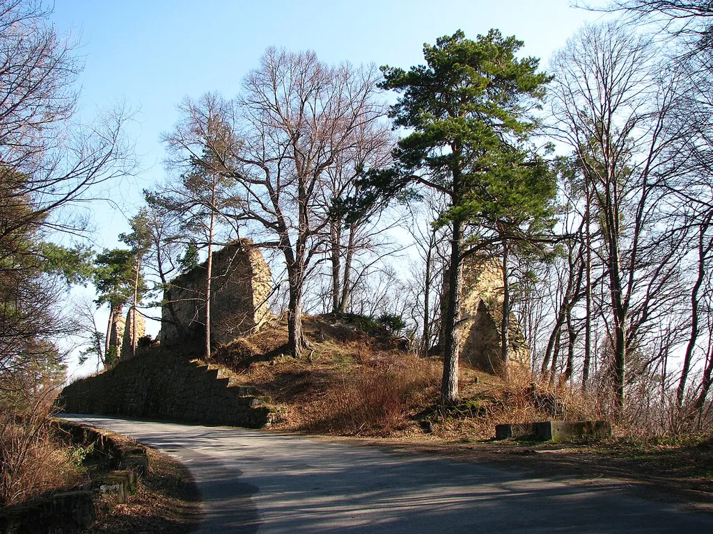 Rożnów, widok na ruiny zamku wybudowanego przez Piotra Rożena, należącego później do Zawiszy Czarnego z Garbowa, następnie rodu Tarnowskich
